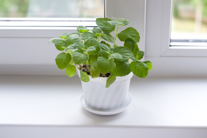 Das richtige Material für Ihre Fensterbänke