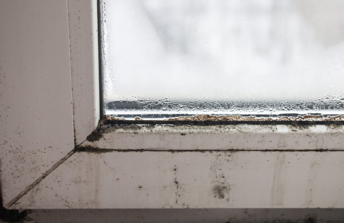 Schimmel am Fenster | Rumpfinger Blog